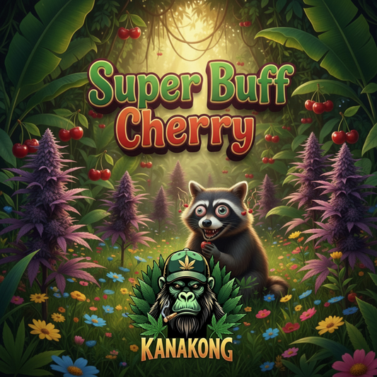 Super Buff Cherry